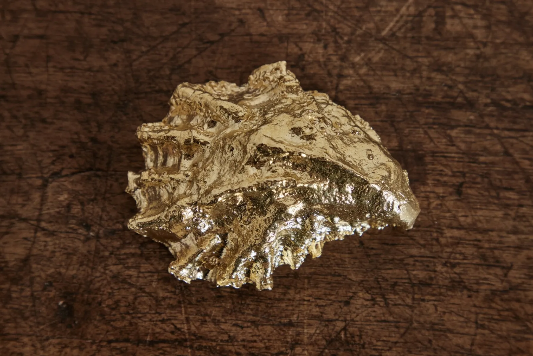 Brass Oyster Shell*UNEARTHEN Clearance