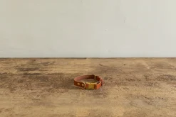 Dog Collar - Tan (Multiple Sizes)*NICKEY KEHOE Sale