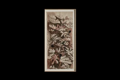 Figuier II*PHILIPPE CARON Online
