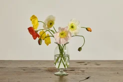 Flared Vase*NICKEY KEHOE Hot