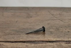 Forged Nail, Iron*HIDDEN Online