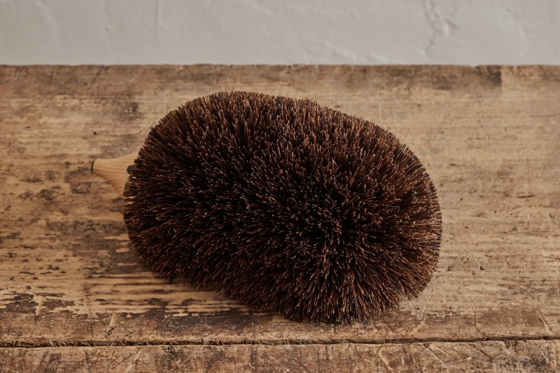 Hedgehog Shoe Cleaner*HIDDEN Best