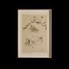 Herbier*PHILIPPE CARON New