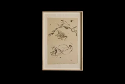 Herbier*PHILIPPE CARON New