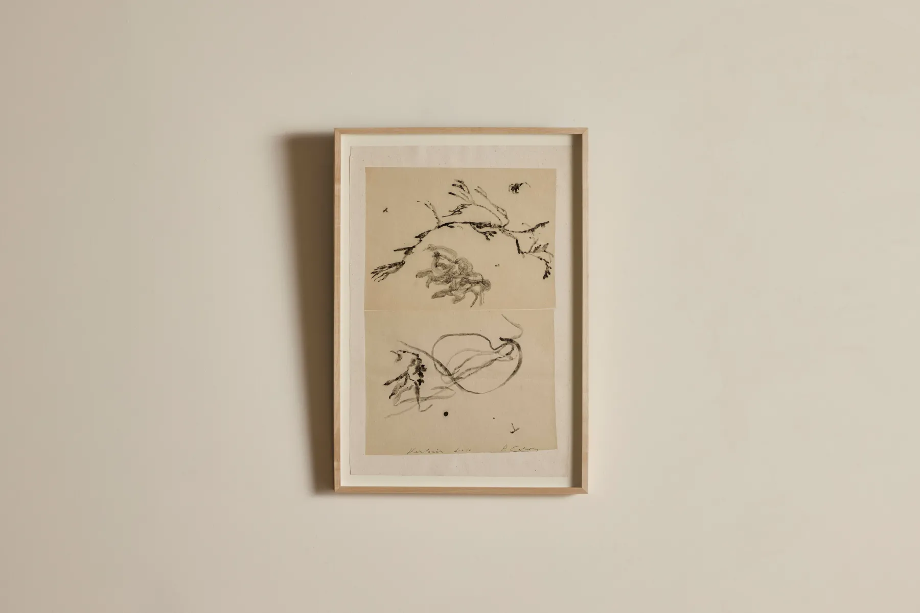 Herbier*PHILIPPE CARON New