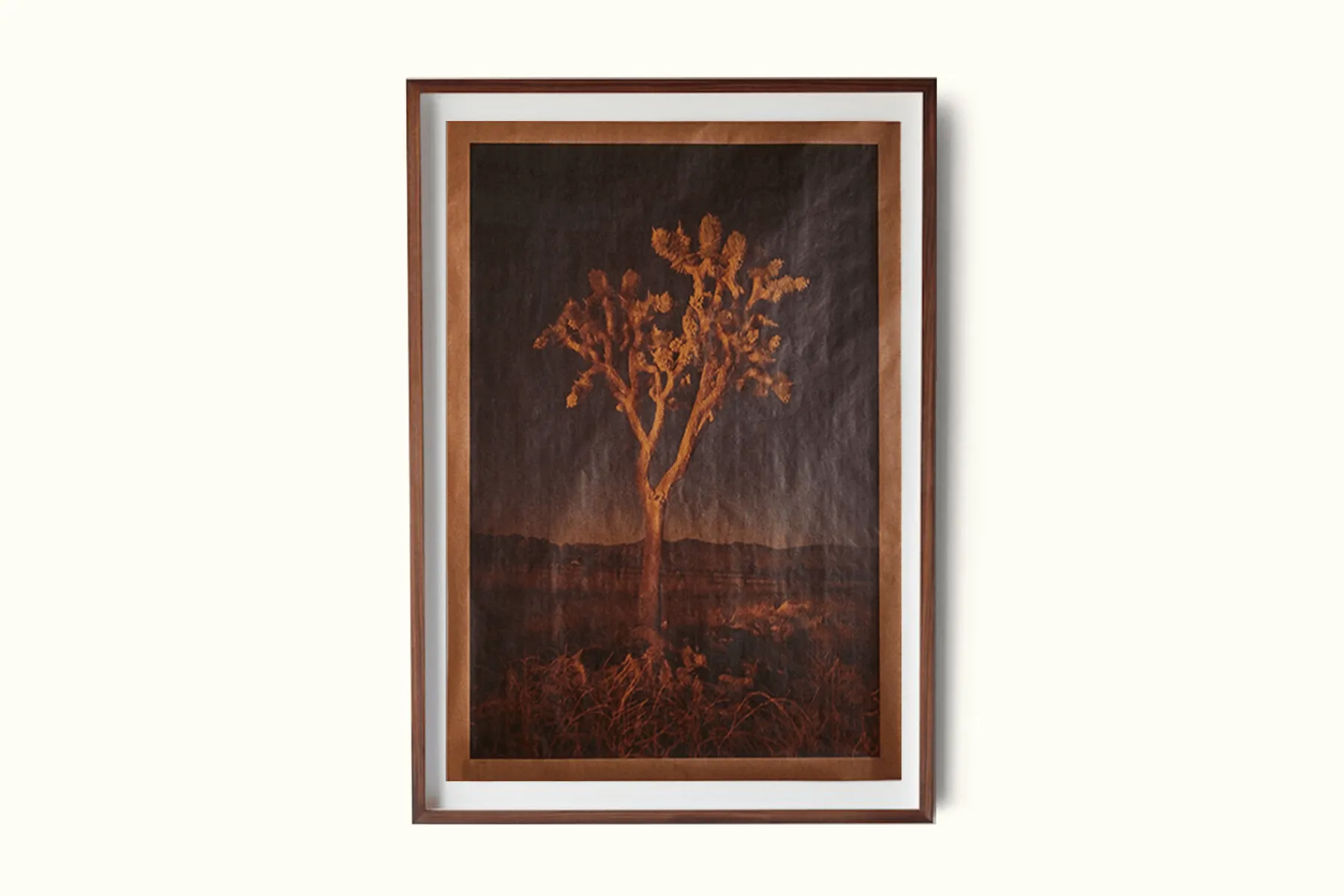Hunting for Nighthawks, Pioneertown, California*JOSLYN LAWRENCE Discount