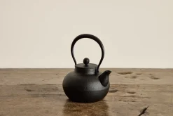 Japanese Cast Iron Kettle*HIDDEN New