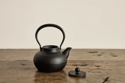 Japanese Cast Iron Kettle*HIDDEN New