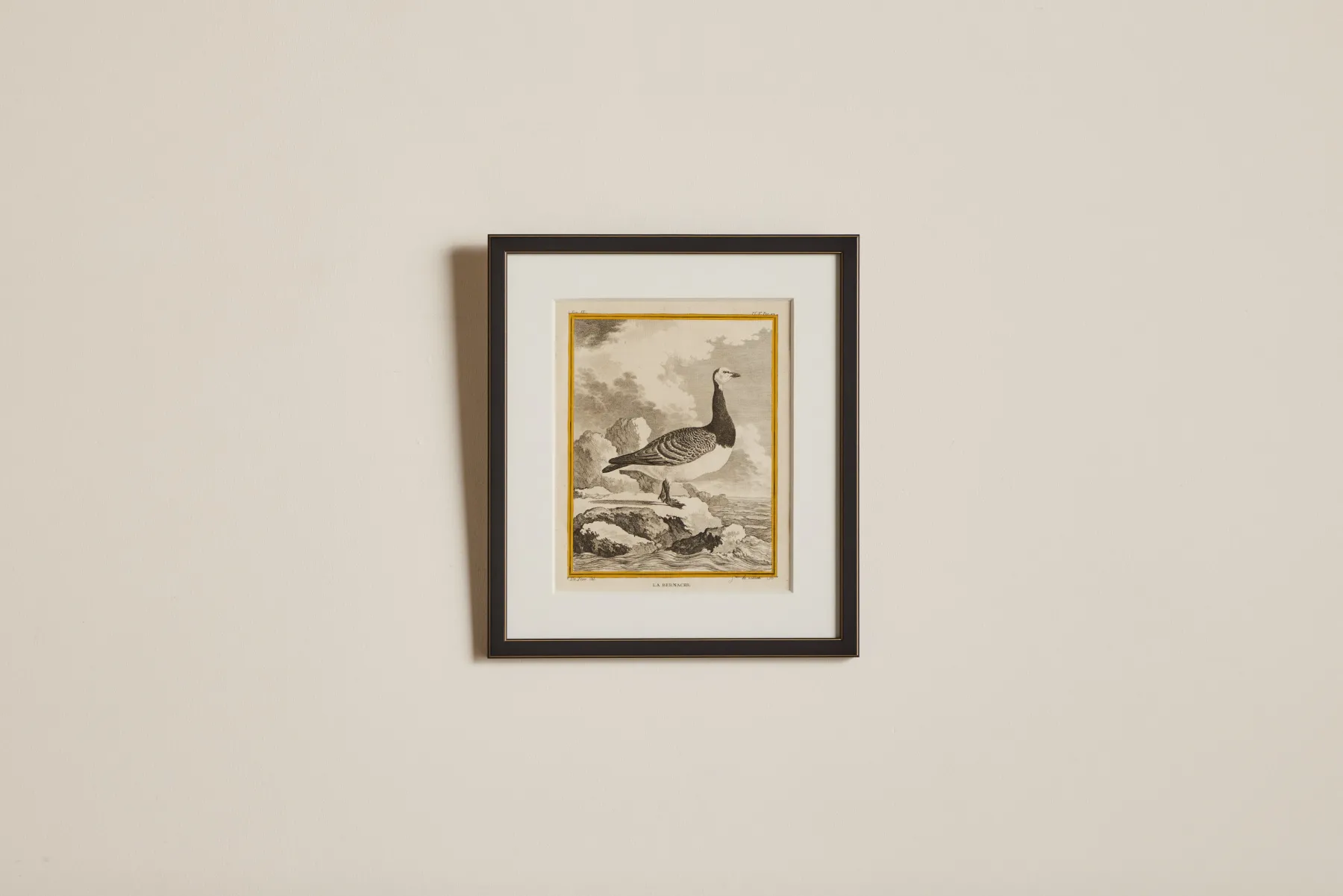 La Bernache Etching*VINTAGE Outlet