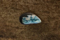 Painted Shell 3*Alyssa Goodman Sale