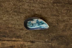 Painted Shell 3*Alyssa Goodman Sale