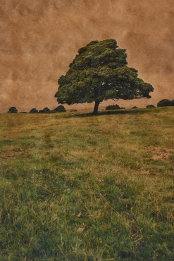 Song of Croagh Patrick, County Mayo, Ireland*JOSLYN LAWRENCE Sale