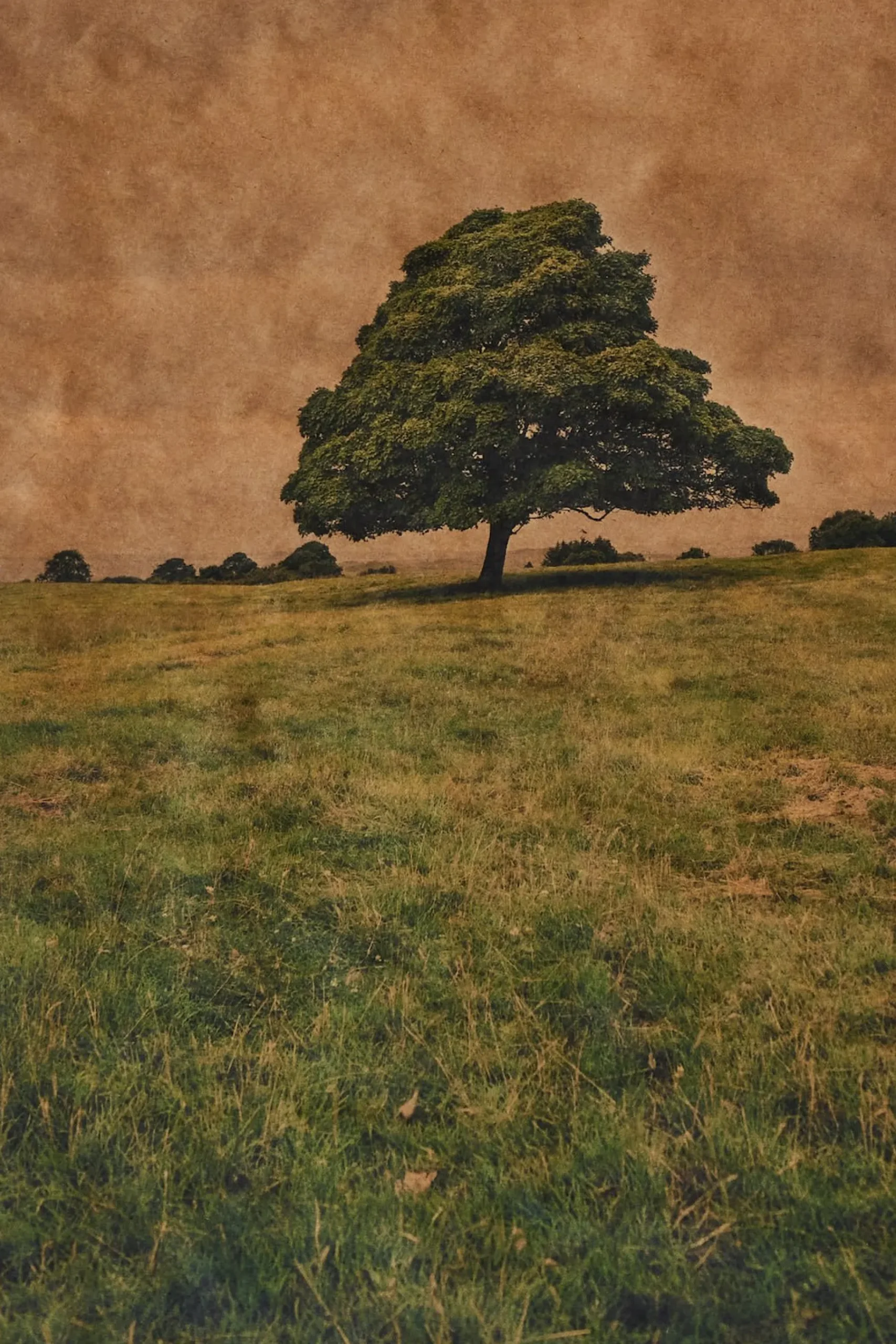 Song of Croagh Patrick, County Mayo, Ireland*JOSLYN LAWRENCE Sale